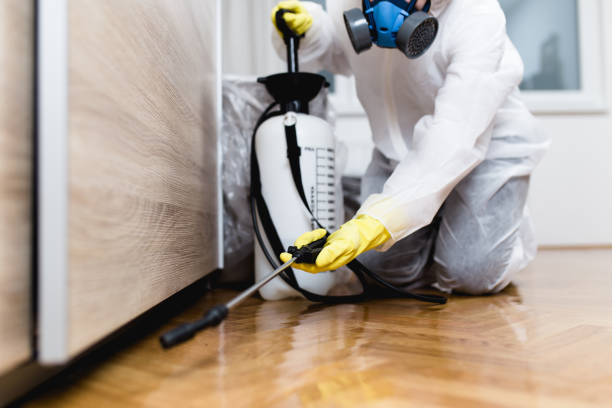 Best Mosquito Control Services  in Englewood Cliffs, NJ
