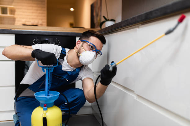 Best Best Pest Control Companies  in Englewood Cliffs, NJ