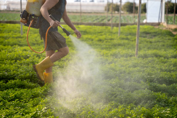 Best Best Pest Control Companies  in Englewood Cliffs, NJ