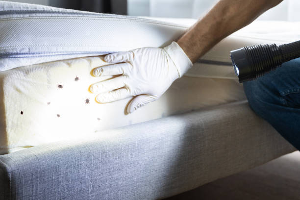 Trusted Englewood Cliffs, NJ Pest Control Experts