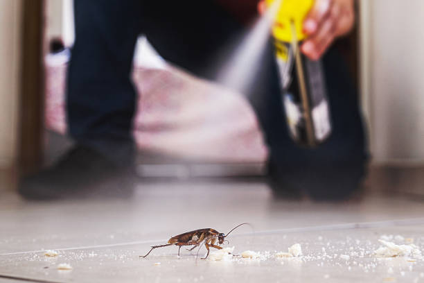 Best Affordable Pest Control Services  in Englewood Cliffs, NJ