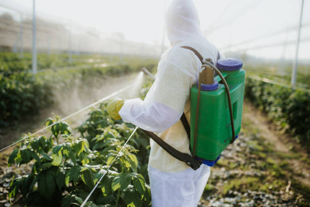 Best Residential Pest Control  in Englewood Cliffs, NJ
